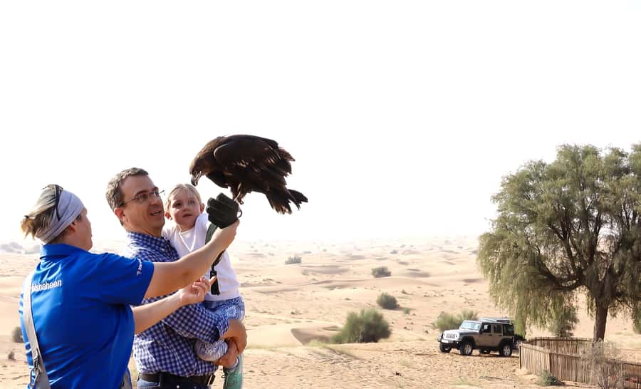 Dubai: Private Falconry Safari - Arabic coffee, dates, and the Emirati Falcon Hunting Camp