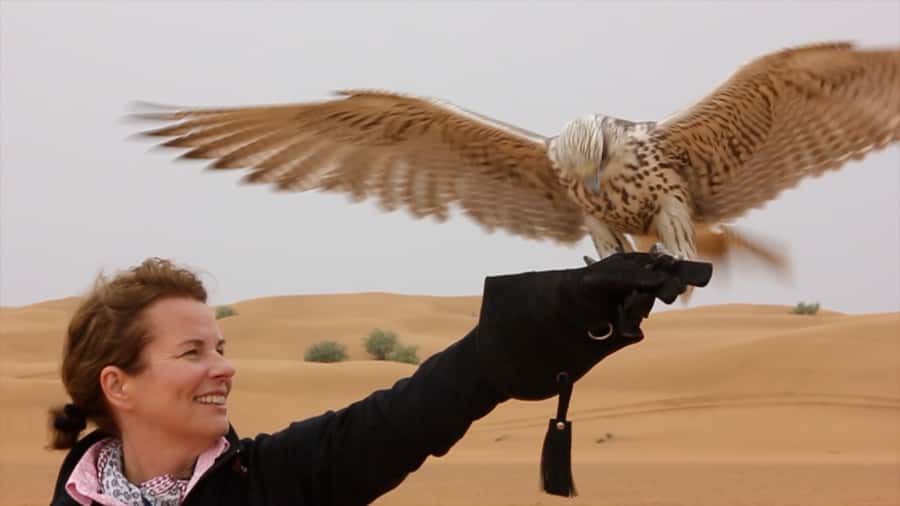 Dubai: Private Falconry Safari - Four birds, then the fastest animal on Earth
