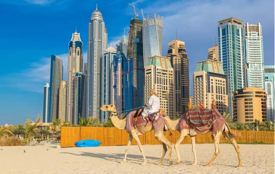 Dubai: Private Half-Day Sightseeing Tour - What the guides add to the experience