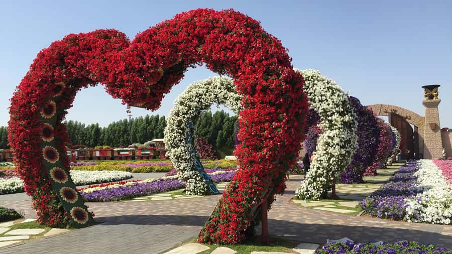 Dubai: Private Miracle Garden & Global Village Trip - Miracle Garden and the flower-covered A380