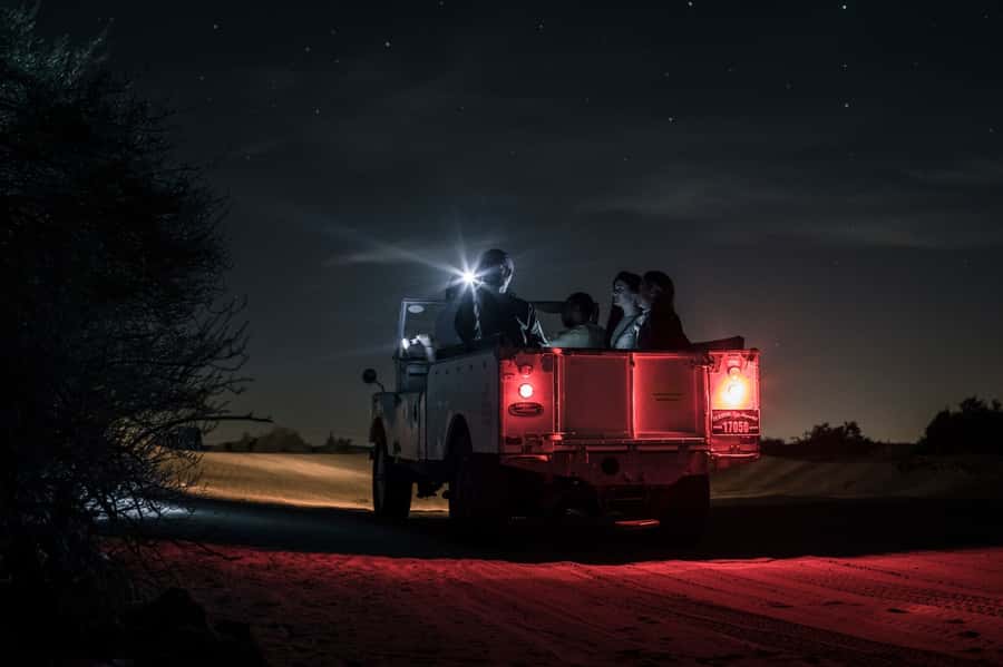 Dubai: Private Night Safari & Astronomy with 3-Course Dinner - Key Points