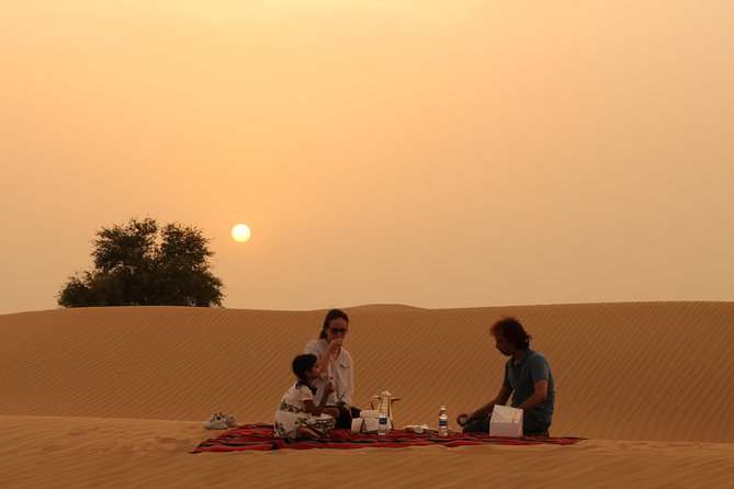 Dubai Private Sunset Desert Drive with Wildlife Experience - Sandboarding first, with a private ride from Dubai