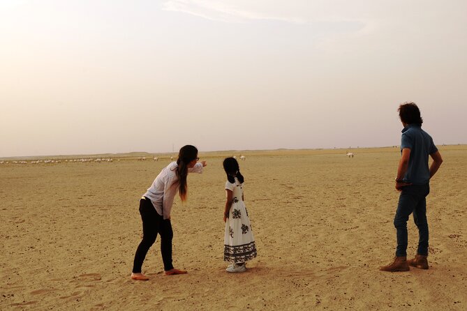 Dubai Private Sunset Desert Drive with Wildlife Experience - The Arabian Oryx feeding station