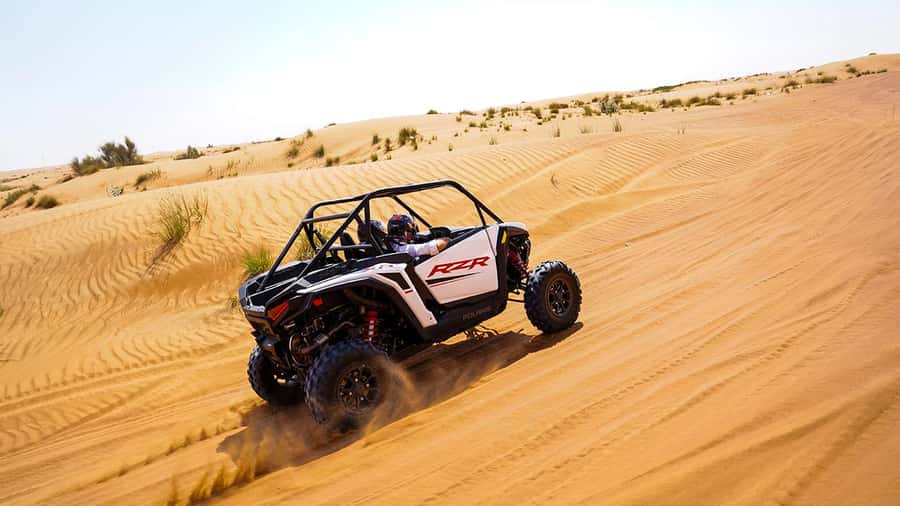 Dubai: Red Dune Desert, Dune Buggy Ride & BBQ Buffet Dinner - The red dunes are the main event