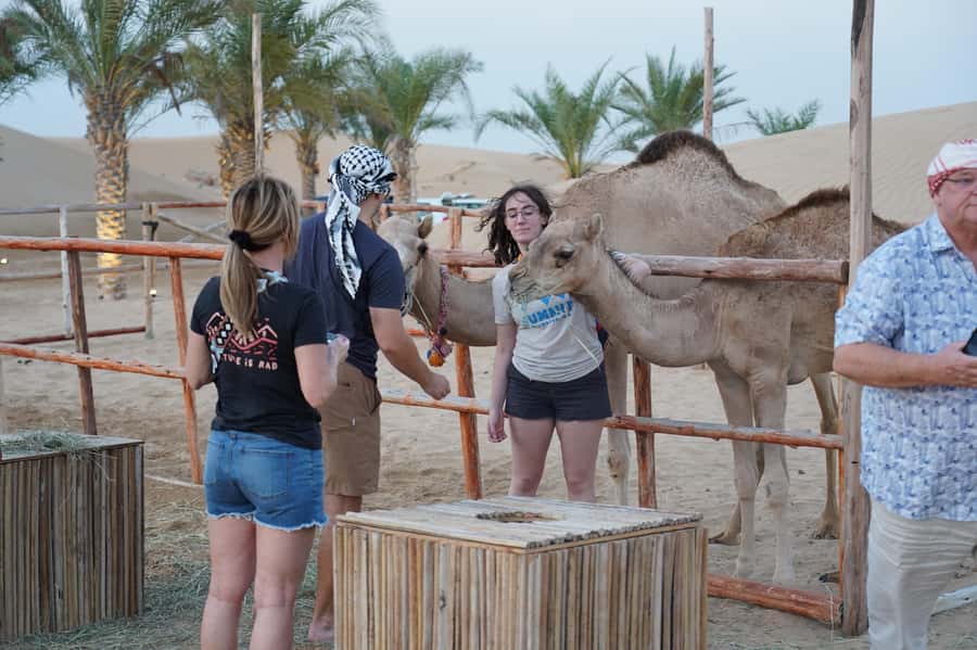 Dubai: Red Dune Desert Safari, Quad Bike, Camels, and BBQ - Guides, photos, and the human side of the tour