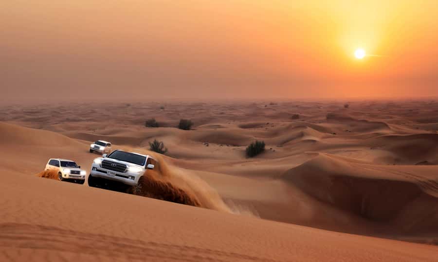 Dubai: Red Dune Desert Safari, Quad Bike, Camels, and BBQ - Price, package choices, and who gets the best value