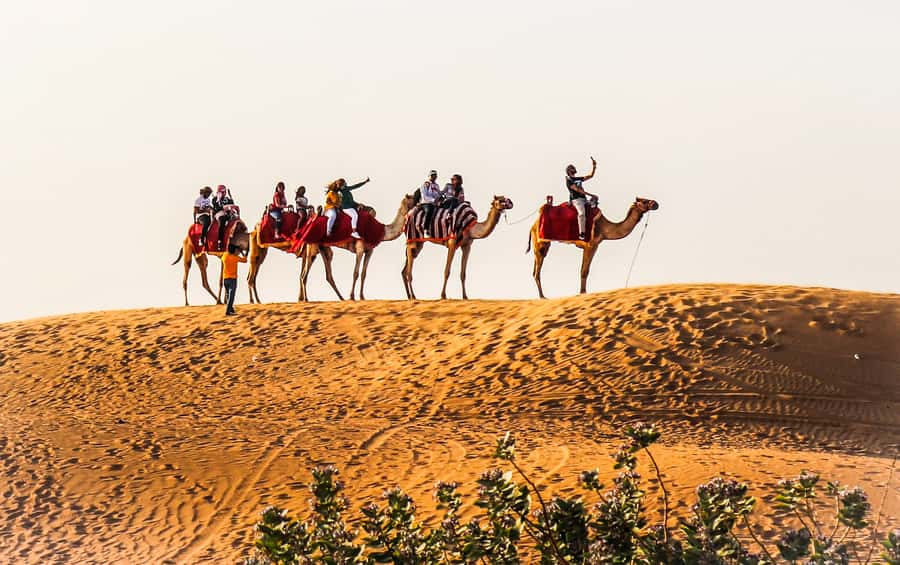 Dubai: Red Dune Safari, Quad Bike, Camel Ride, BBQ Dinner - Key points to know before you book