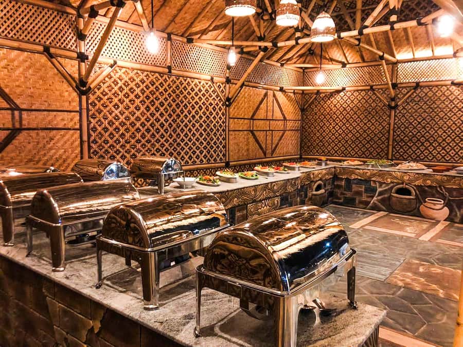 Dubai: Red Dune Safari, Quad Bike, Camel Ride, BBQ Dinner - Transport, pickup, and the long-day question