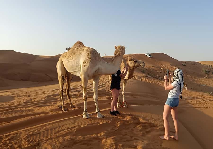 Dubai: Red Dunes Desert Safari with Premium Camp BBQ & Shows - Camel rides, falcons, and the quick photo circuit
