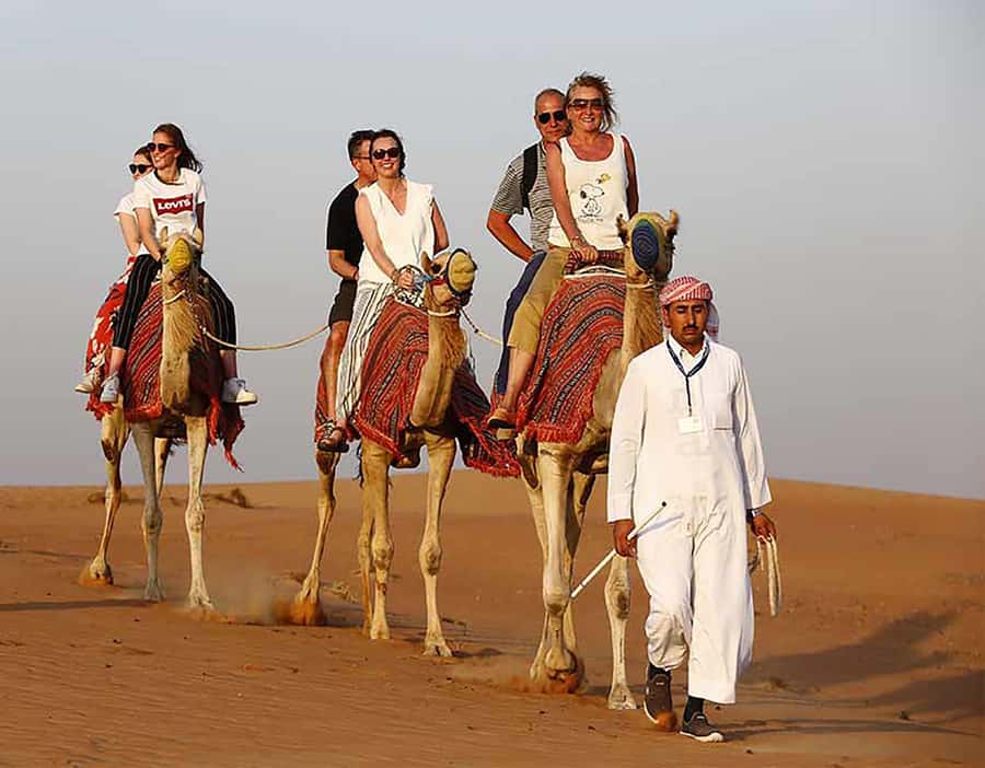 Dubai: Red Dunes Desert Safari with Premium Camp BBQ & Shows - Who will enjoy this most?