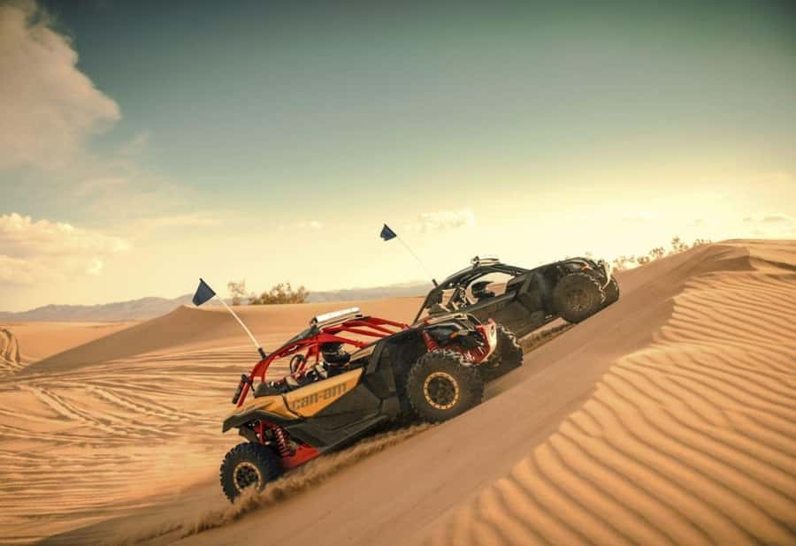 Dubai: Red Dunes Quad Bike, Dune Buggy, Camel & Refreshments - Sandboarding on the golden side of the dunes