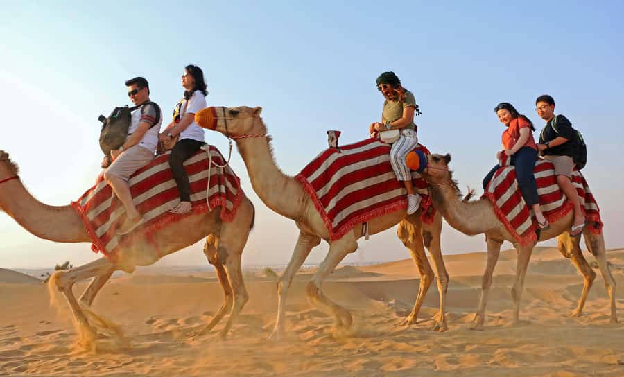 Dubai: Red Dunes Quad Bike with Sandboarding, Camels and BBQ - Fire, horse, camel, falconry, and Yola performances