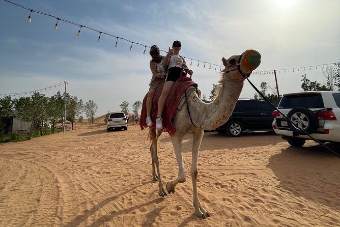 Dubai: Red Dunes, Sandsurf, Camel Ride, BBQ Dinner at Desert Camp - What the $40 price really covers