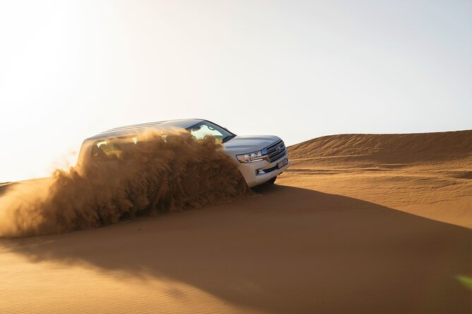 Dubai Red Dunes with Sandboarding, Camel Ride, Falcon & VIP Camp - Falcon photos and Lahbab at sunset