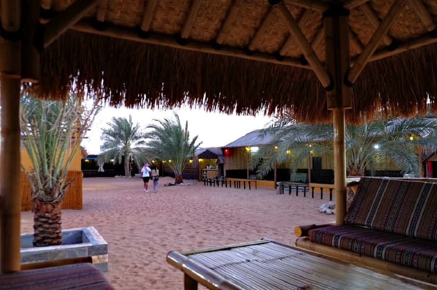 Dubai: Safari, Quad Bike, Camel Ride, and Buffet Dinner - Who will enjoy this desert safari