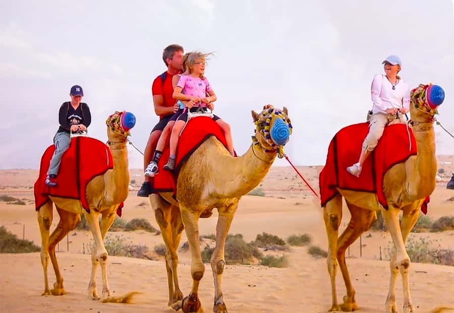 Dubai: Safari, Quad Bike, Camel Ride, and Buffet Dinner - Red dunes, sharp slopes, and sandboarding