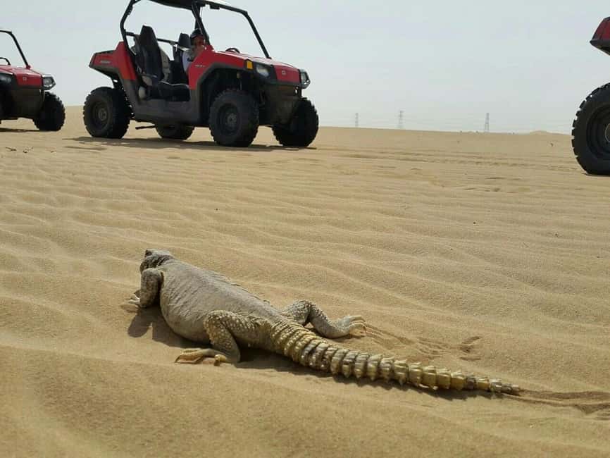 Dubai: Self-Drive Dune Buggy Safari with Pickup and Drop-Off - The 800cc buggy route gives you proper time behind the wheel