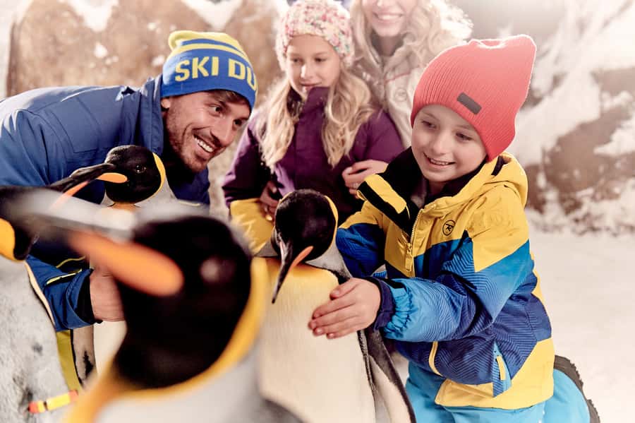 Dubai: Ski Dubai Snow Park Classic Pass - Who should book the Snow Park Classic Pass?