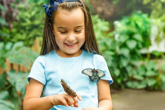 Dubai: Skip-The-Line Ticket to Butterfly Garden - Why the Climate Control Matters in Dubai