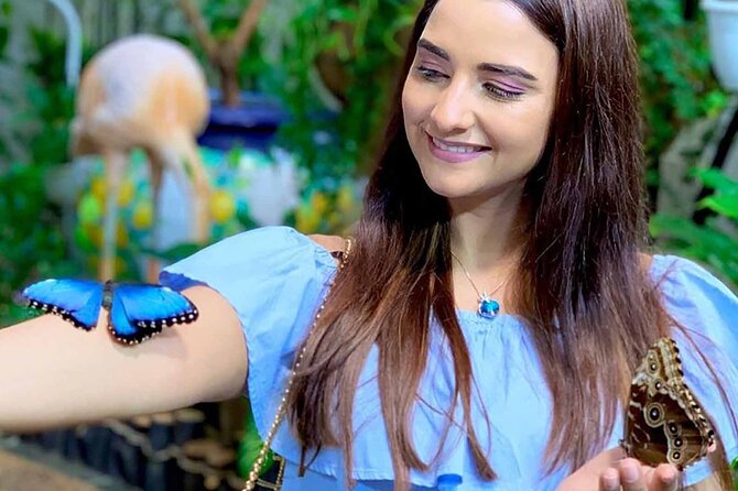 Dubai: Skip-The-Line Ticket to Butterfly Garden - Pairing the Garden With Miracle Garden