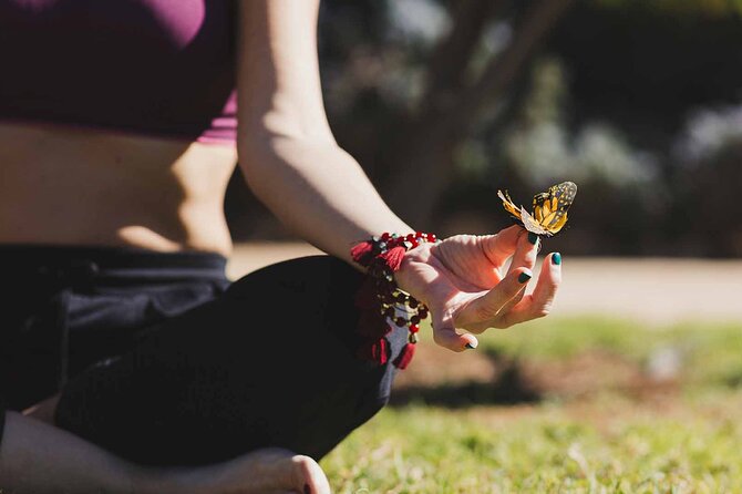 Dubai: Skip-The-Line Ticket to Butterfly Garden - Booking and Mobile Ticket Advice