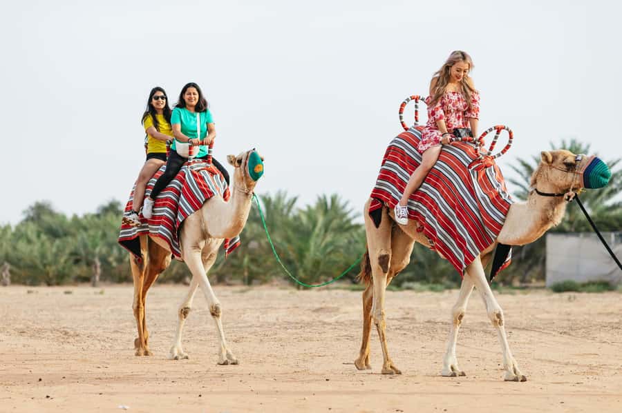 Dubai: Sunrise Balloon Flight with Camel Ride & Breakfast - Landing near the desert reserve