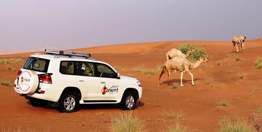 Dubai Sunrise Desert Camel Trek with Breakfast - Getting from Dubai to the Lahbab dunes