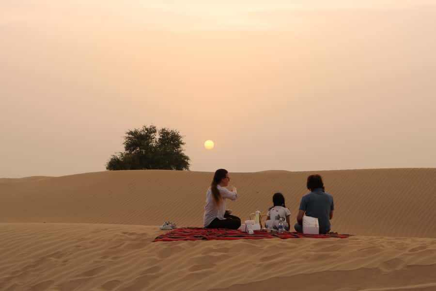 Dubai: Sunrise Desert Jeep Safari with Wildlife Experience - What the $51 price really buys