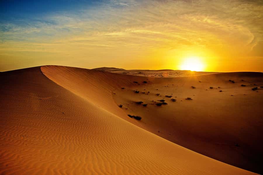 Dubai: Sunrise Desert Jeep Safari with Wildlife Experience - Pickup before dawn and the ride into the desert