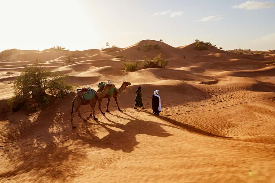 Dubai: Sunrise Hot Air Balloon Tour with E-Certificate - Key points to know before takeoff