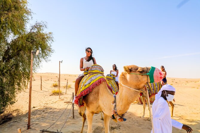 Dubai: Sunset Camel Trek, Al Khayma Camp, Stargazing & BBQ - Arriving at Al Khayma Camp