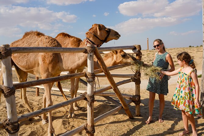 Dubai: Sunset Camel Trek, Al Khayma Camp, Stargazing & BBQ - Tanura, Khaliji dance, and the night sky