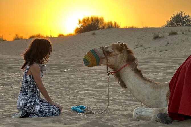 Dubai Sunset Red Dune Desert Safari, Sandboarding and Camel Ride - A short camel ride, not a long trek