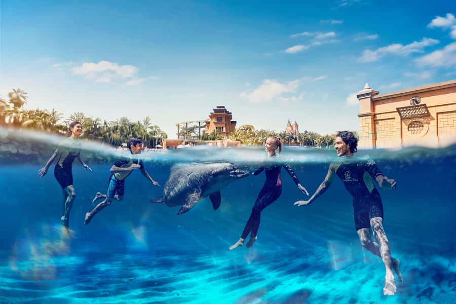 Dubai: Swim with Dolphins at Atlantis Waterpark - Meeting a dolphin at Atlantis Dolphin Bay