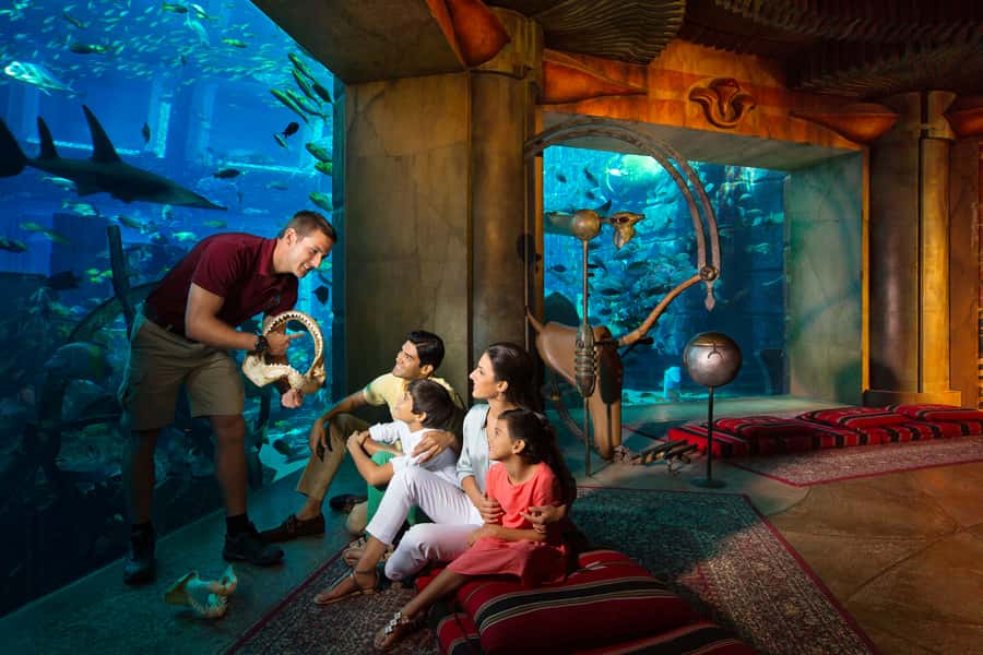 Dubai: The Lost Chambers Aquarium Atlantis Diving Experience - What the Atlantis aquarium experience is really like