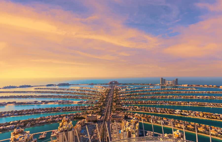 Dubai: The View At The Palm Observatory Entry Ticket - Seeing the Palm from 240 meters