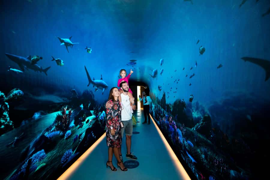 Dubai: The View At The Palm Observatory Entry Ticket - What the visit feels like from start to finish