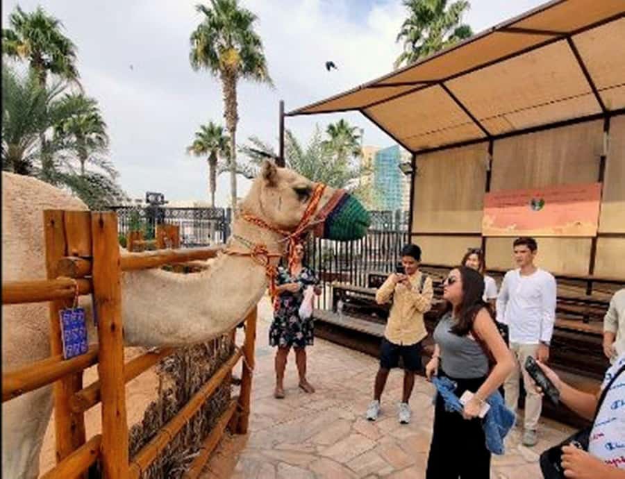 Dubai: Top Must-See Sights Tour with Burj Khalifa At The Top - Jumeirah Mosque, Burj Al Arab, and Madinat Jumeirah