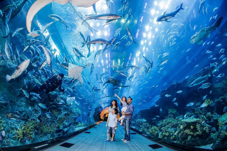 Dubai: Unlimited Attractions Pass - The Smartvisit App Is Your Control Center