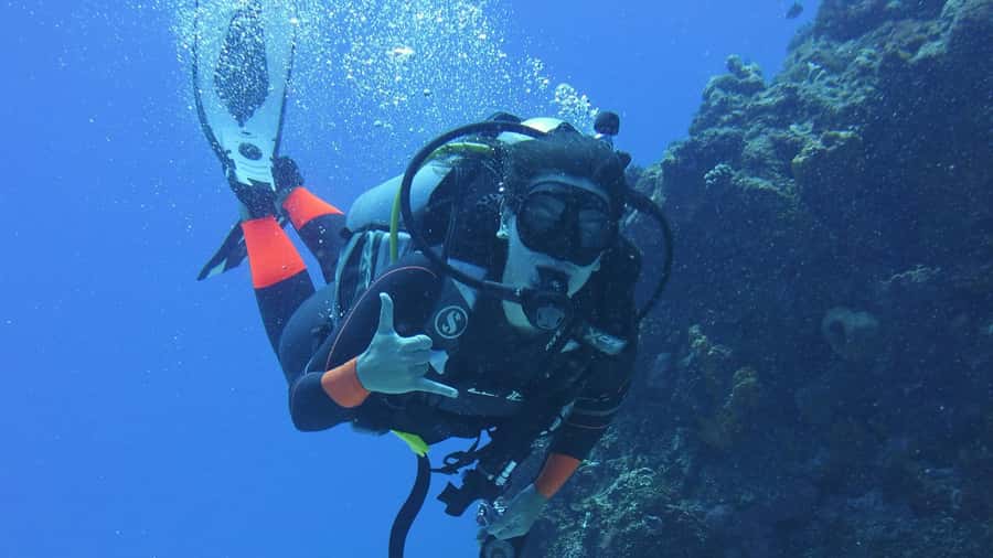 Dubai: VIP Private Scuba Dive with Free Hotel Transfer - Meeting Jumeirah Beach beneath the surface