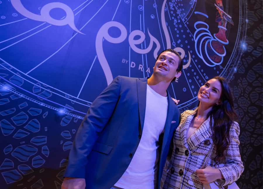 Dubai: Water Canal Cruise and La Perle Show with Dinner - Who should book this experience?