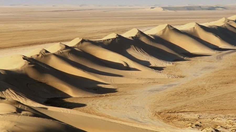 Dune Bashing, Sandboarding, Camel Ride & Optional ATV Ride - Camel camp, tea, and a gentle start