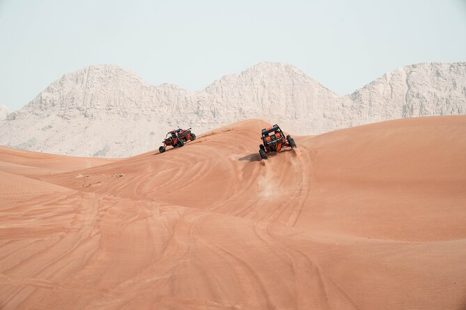 Dune Buggy Experience and Dinner at Mleiha Archaeological Center - Dinner under the sky at Mleiha Archaeological Center