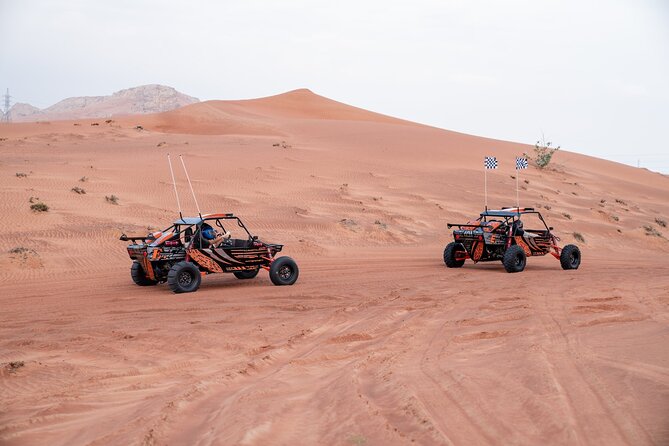 Dune Buggy Experience & Fossil Discovery in Mleiha National Park - Fossil Rock and real evidence in the sand