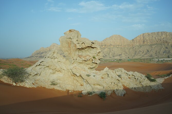 Dune Buggy & Private Dinner in the Dunes in Mleiha National Park - Why the private format matters