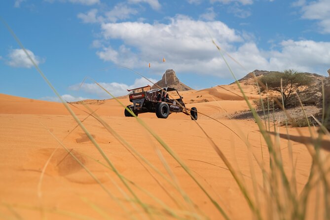 Dune Buggy & Private Dinner in the Dunes in Mleiha National Park - What to know before paying $818