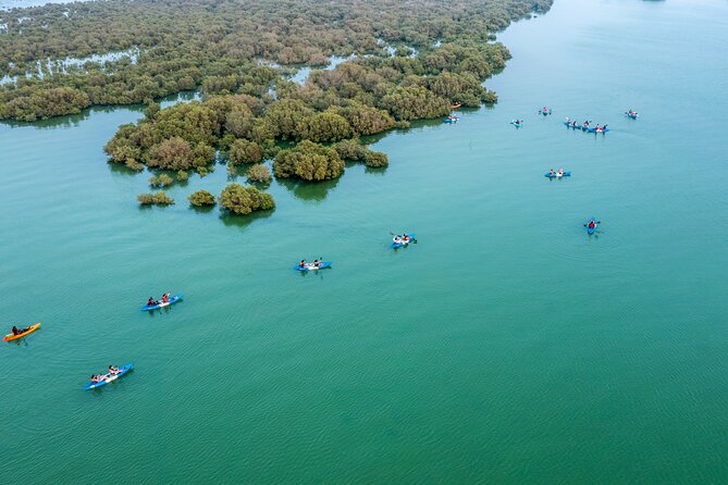 Eco Kayaking Adventure – Mangrove Exploration at Purple Island - Camp time, karak tea, and the optional barbecue
