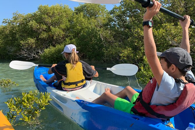 Eco Kayaking Adventure – Mangrove Exploration at Purple Island - Choosing the right departure time