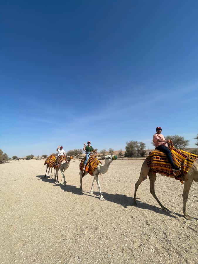 Edge of The World Riyadh,Camel Ride ,Bat Cave Visit & Dinner - The 2:00 pm departure gives you the fullest day