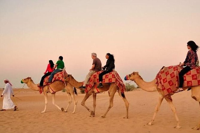 Evening Desert Adventure: Quad Biking, Sandboarding & Camel Ride - Quad biking on the Lahbab dunes